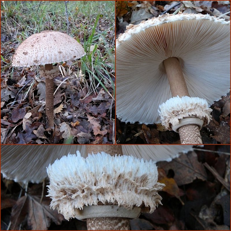 ...ultima bellissima giornata!